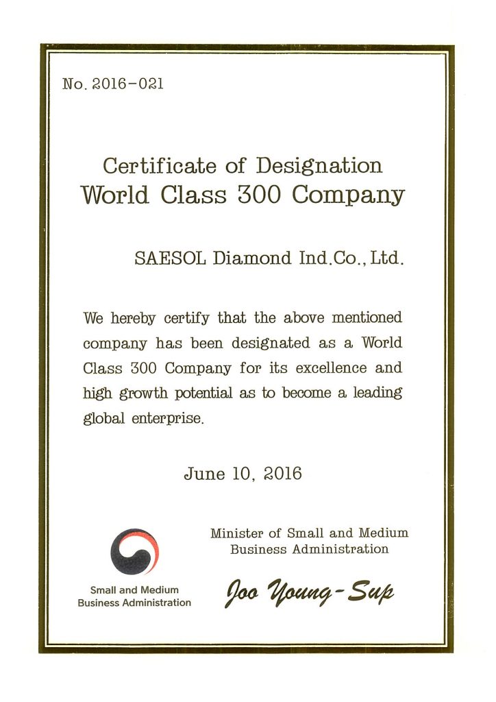World Class 300 기업 선정서 (영어)